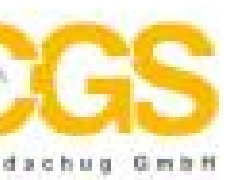 德國CGS過(guò)濾器