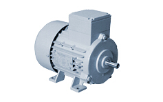 美國B(niǎo)IRKENBEUL電機